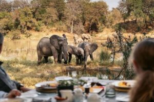 Winter Safari Experience at Kruger National Park (South Africa)